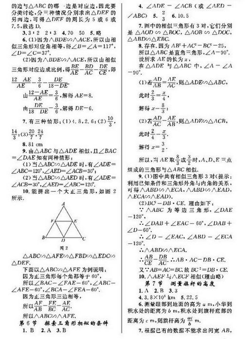 ʦ꼶²ѧϰ