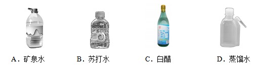 .jpg